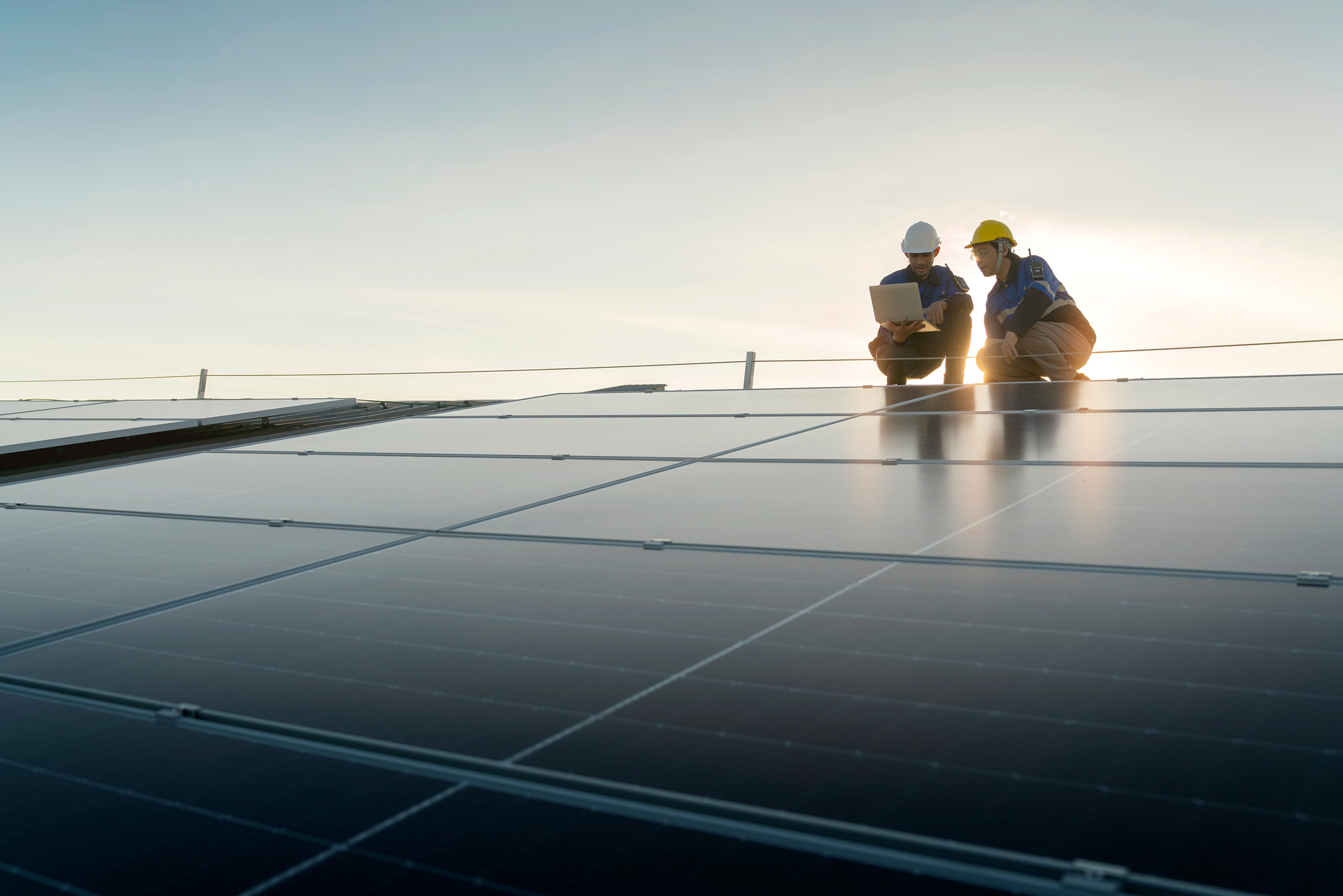 Dodd Group Decarbonisation